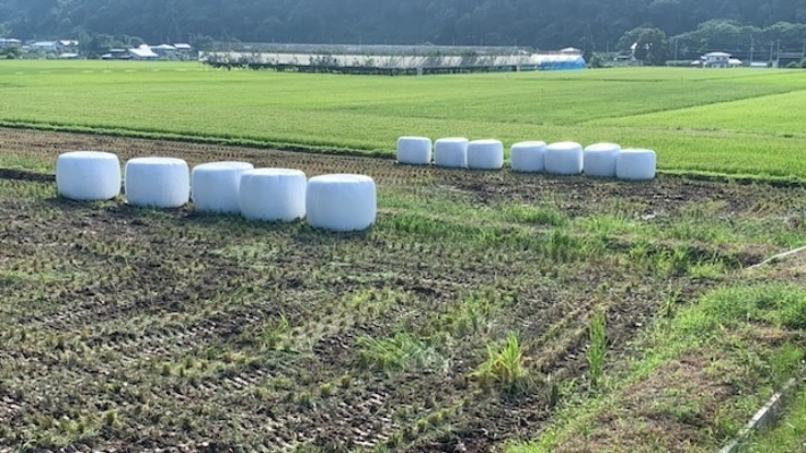 南陽市金山の農業農地農業技術を後世に残し続けたい