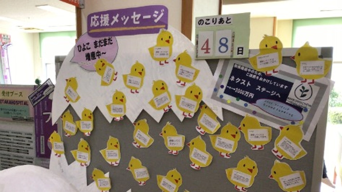 皆さまからの応援メッセージを掲示しています