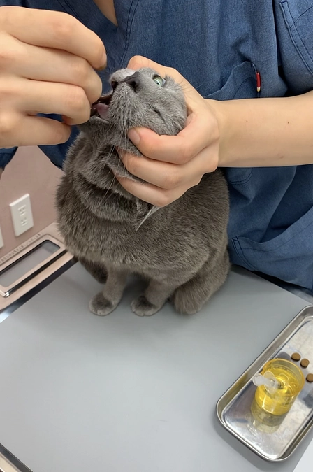 未だに投薬には慣れません😅