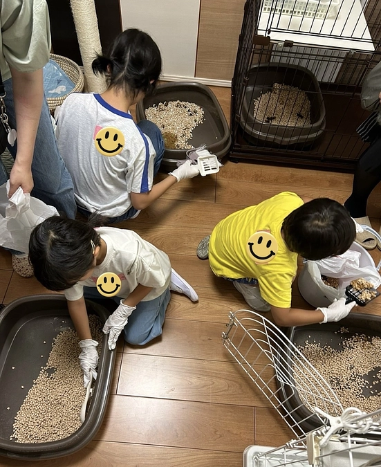 猫の森のある一日byスタッフM