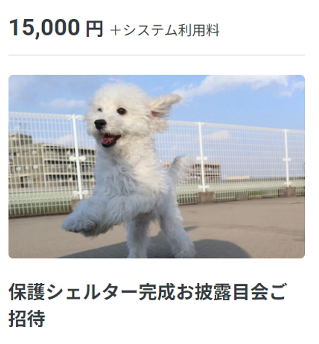 【リターン】保護シェルター完成お披露目会