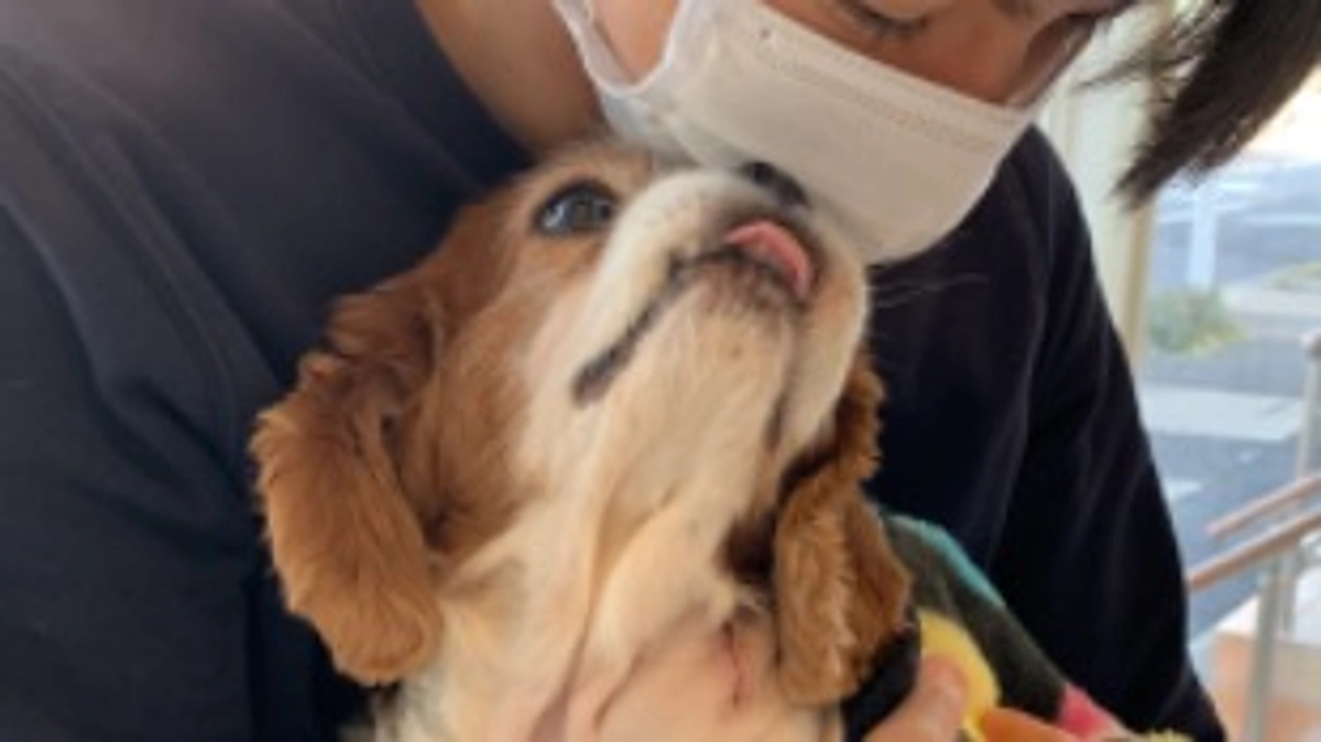 術後2日目です。