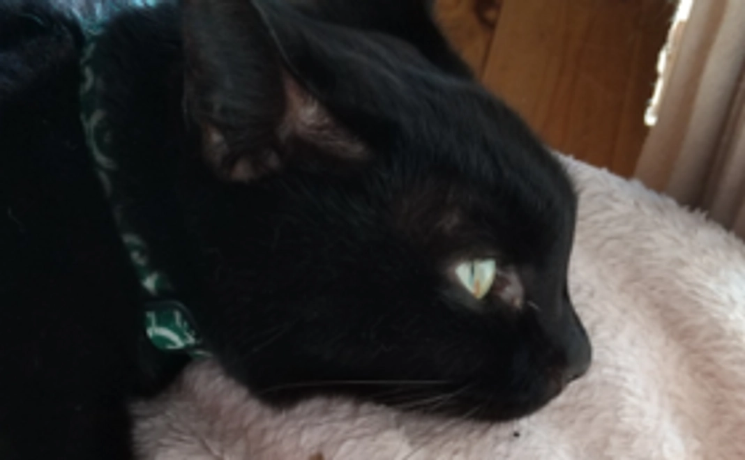 寛解を目指して！