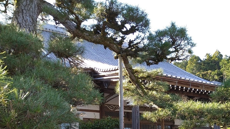 450年前の寺院建築に再生したい