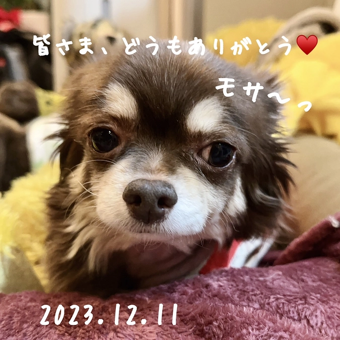 術後の経過。ご報告となります！！