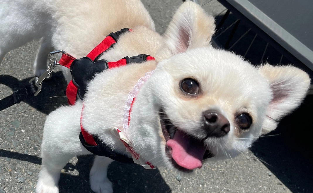 ご支援ありがとうございます②