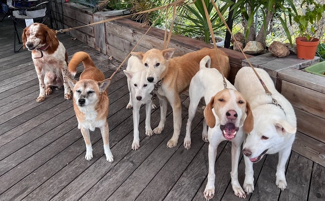 毎月3000円コース