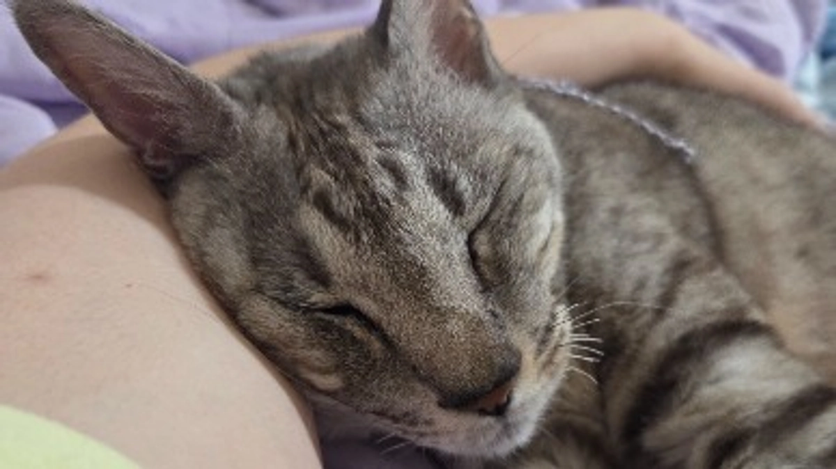 ご報告と御礼　目標まであと24.6万円！皆様のおかげでご支援総額824,000円を達成しました