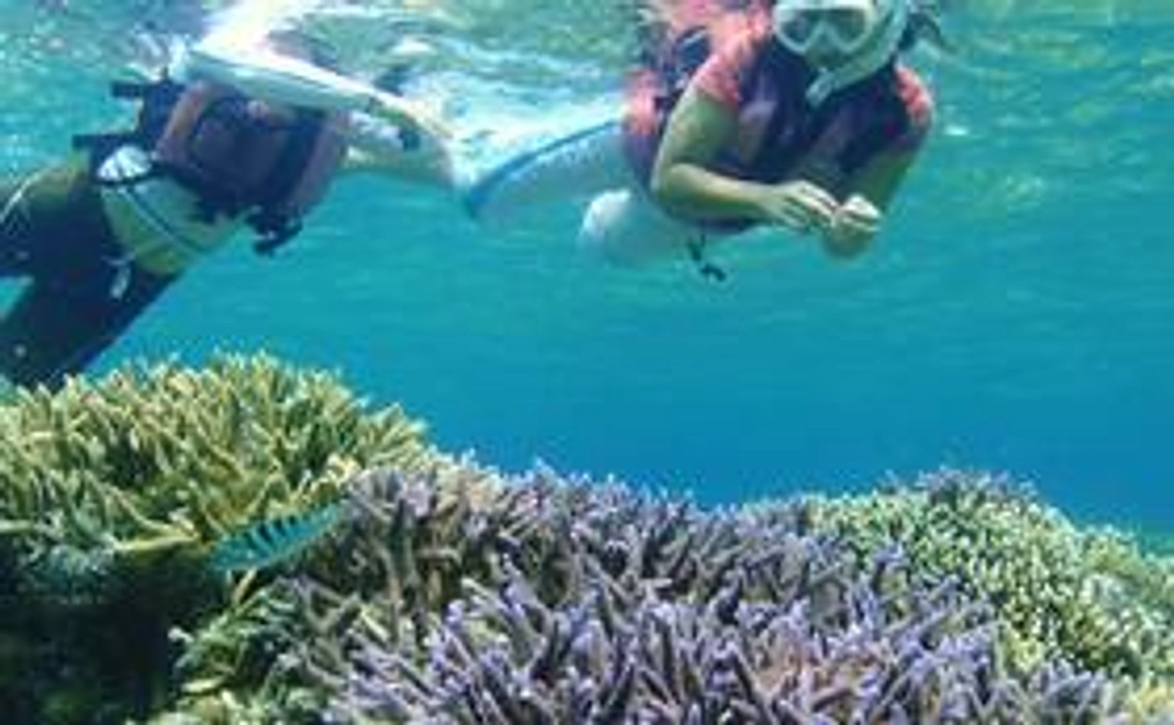 （Aコース）Fanta☆Sea 海の見守り隊・コース