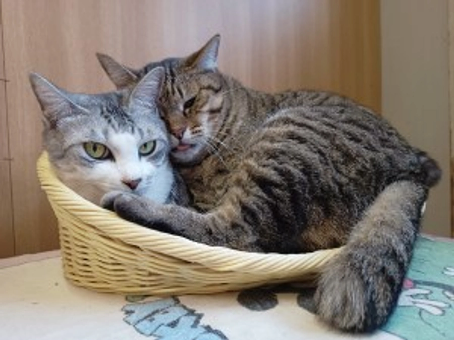 2025年1月　シェルター風景