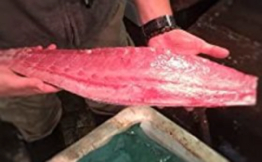 おいしい寒ブリ4分の1