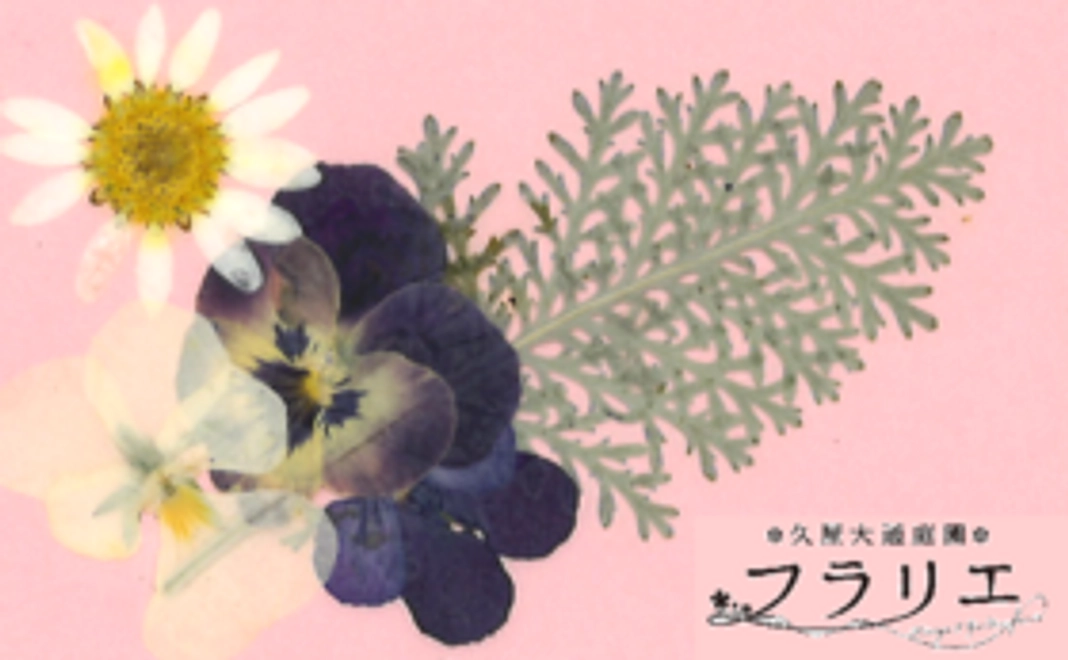 フラリエで特典が受けられる「フラリエサポーターズクラブ会員証」