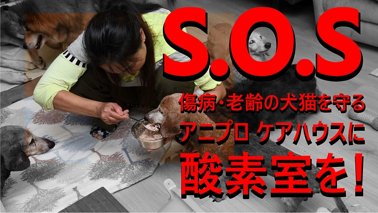 傷病犬猫たちのために酸素室を購入・設置したい　-2021/7/15