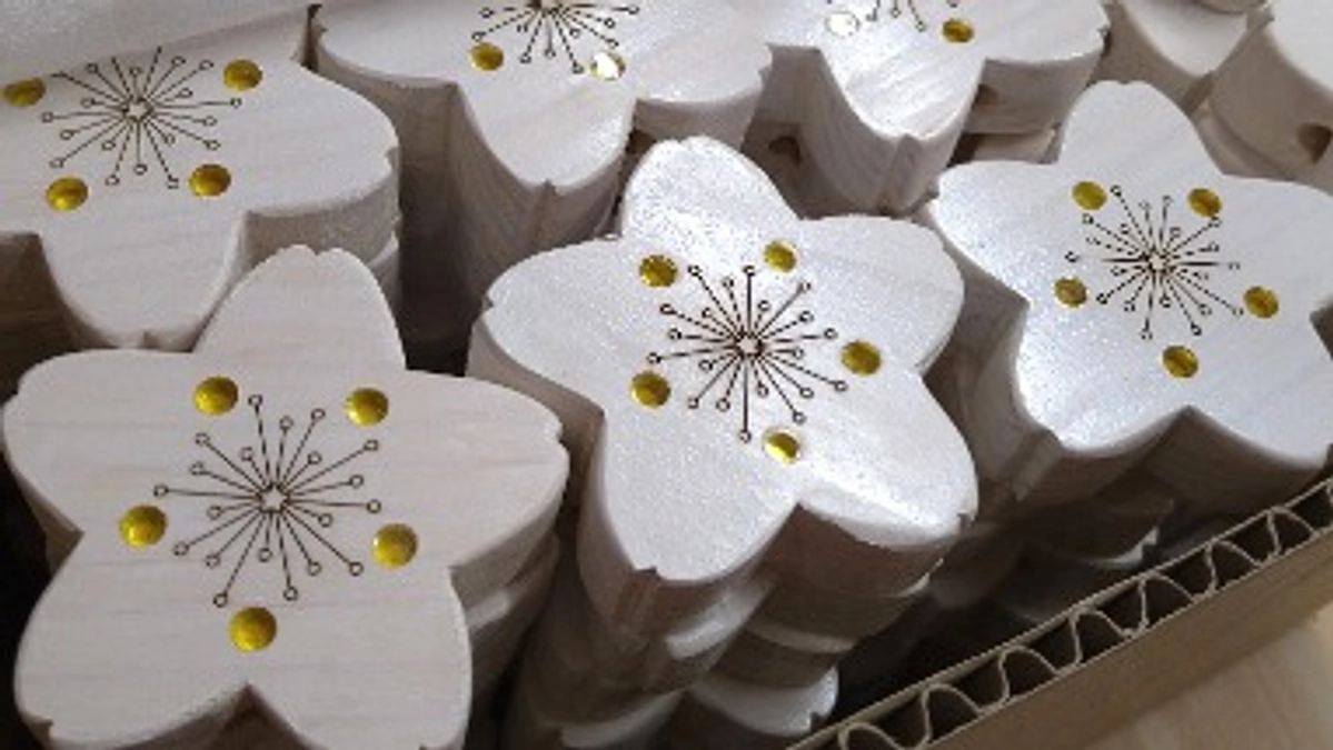 「一口館長」バイカオウレンのつみきが届き始めました！【リターン発送開始予定日について】