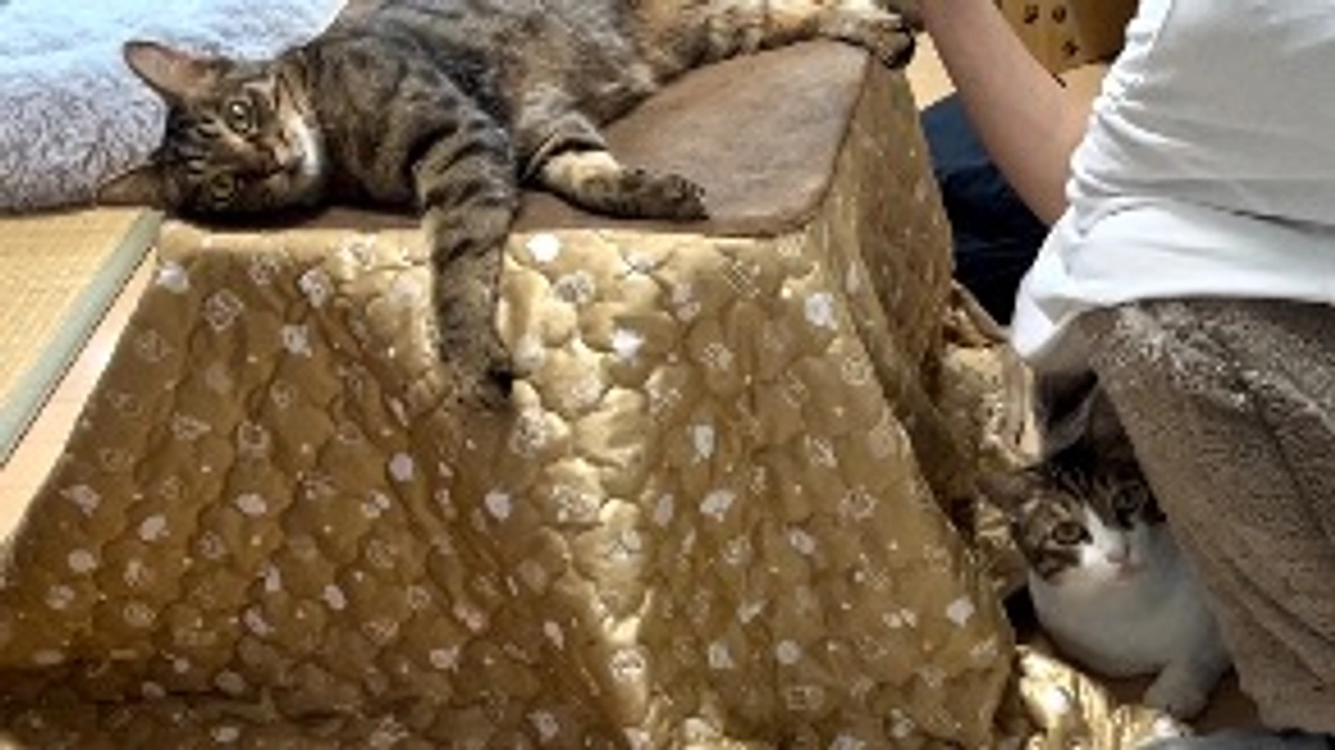 【今日のなっちゃん】5月12日