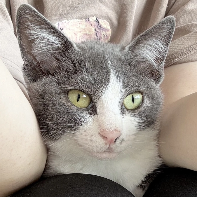 84日の投薬が超えるかもしれない・・・