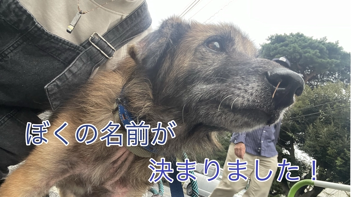 ただ今、リターン品の準備を進めております！