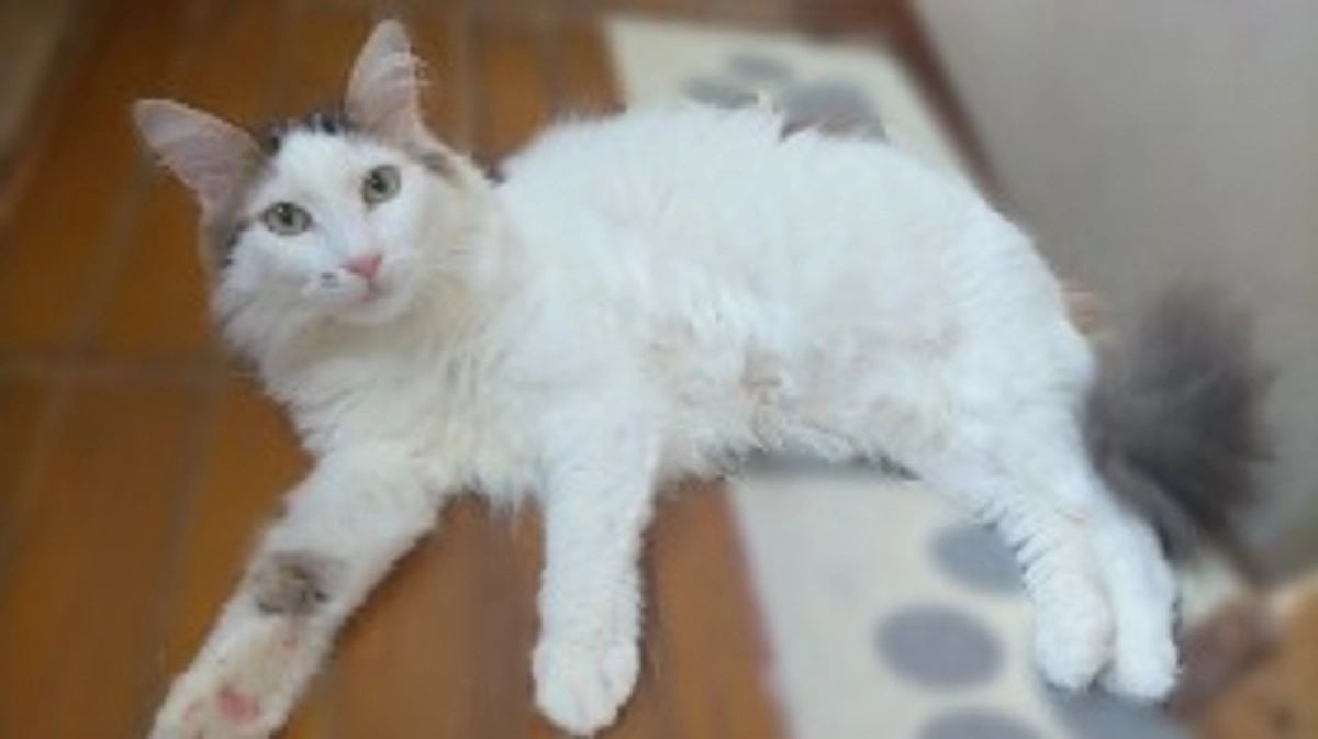 ⁡経過観察③2023.9.2~9.29間