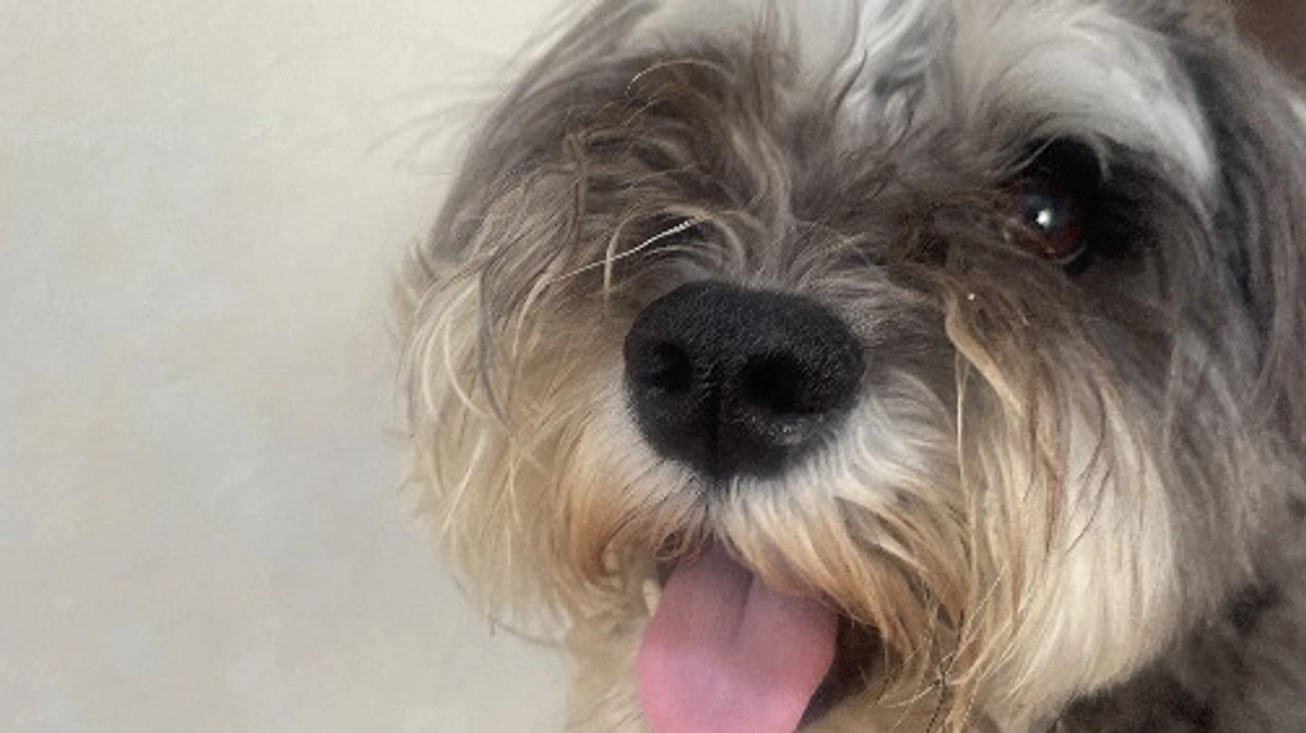 2023年7月22日　術後検査