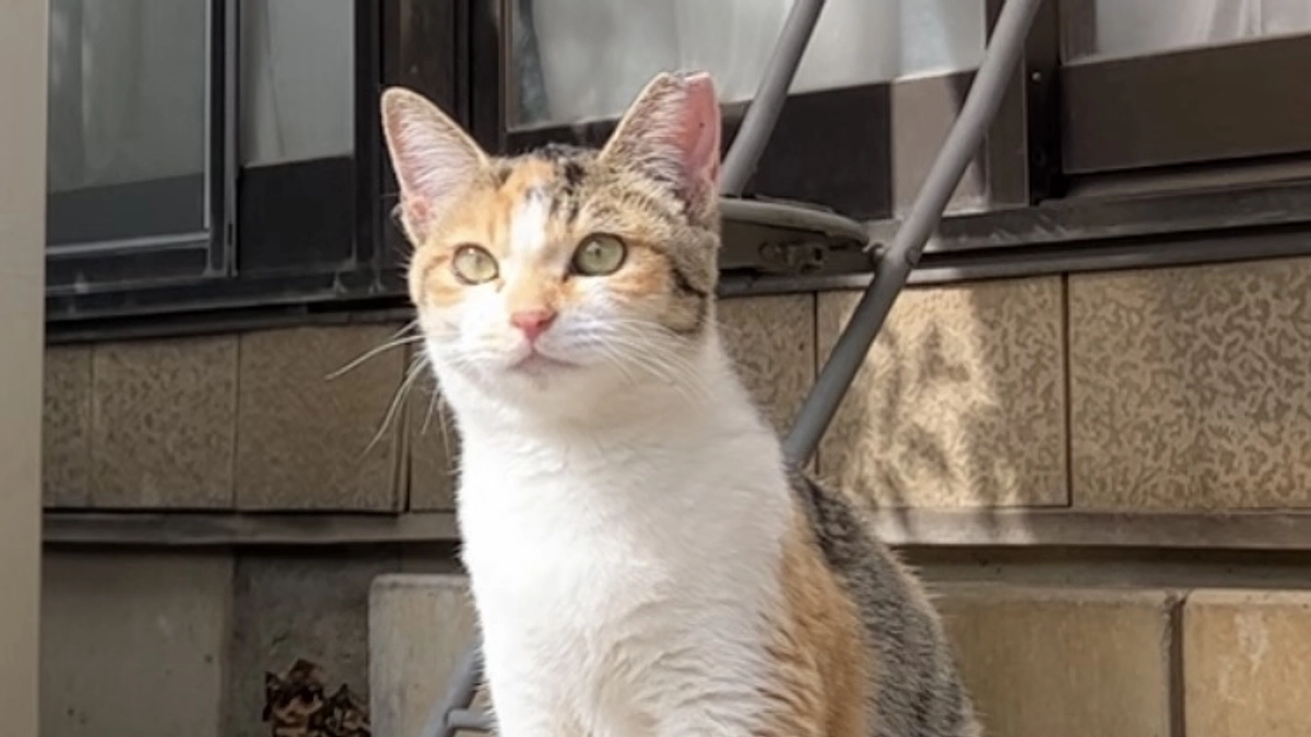 ご飯をあげてきました。