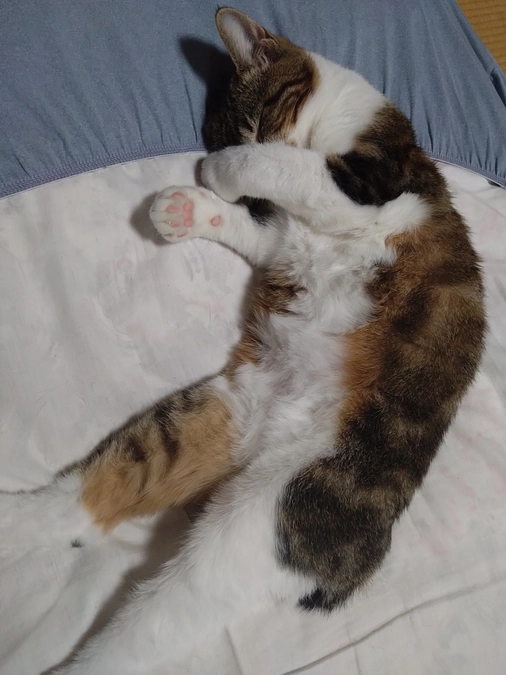 【最終日：残り5時間となりました】