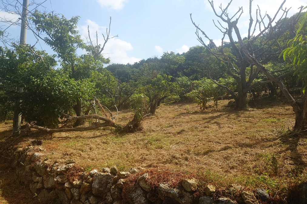 締め切りまで残り２日！！