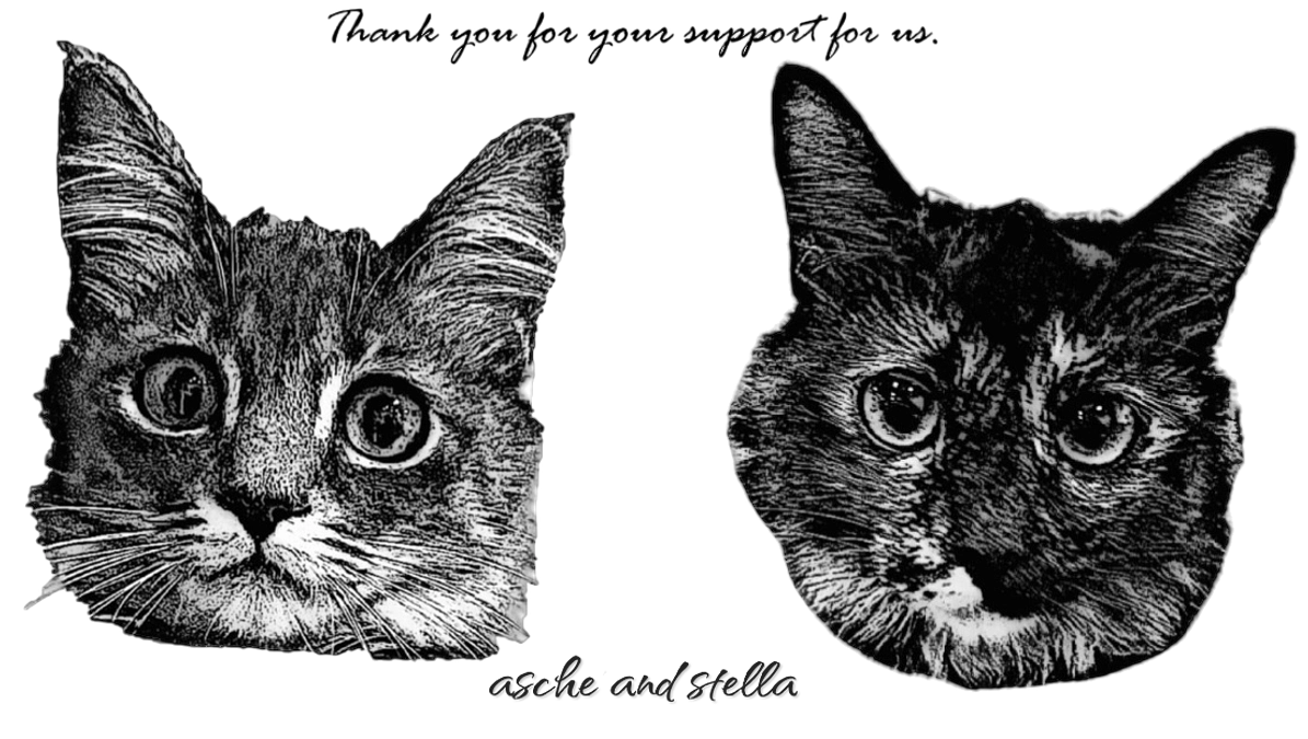 リターン準備中！