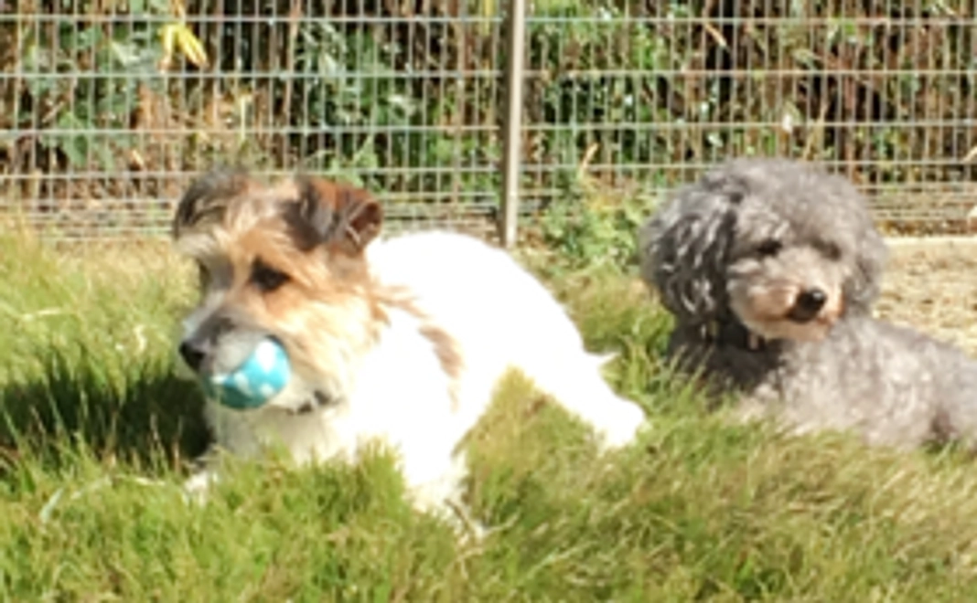 《気軽に応援！リリモナハウスにカフェを作ろう》