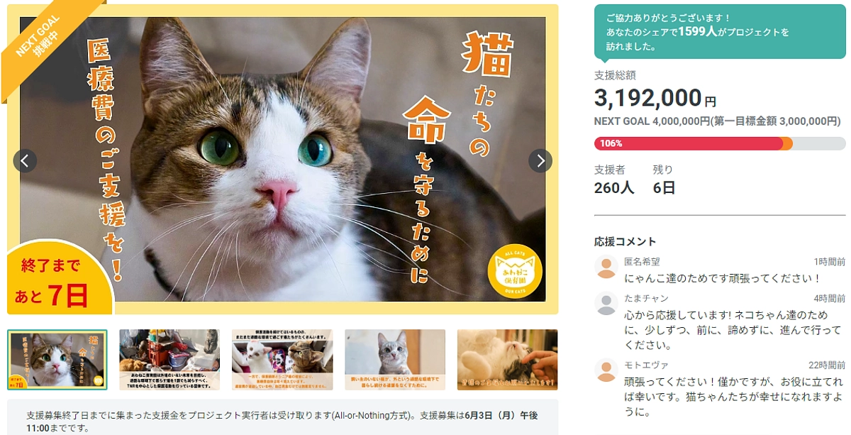 第6弾プロジェクト【終了まであと6日！ 】学生ボランティアの活動