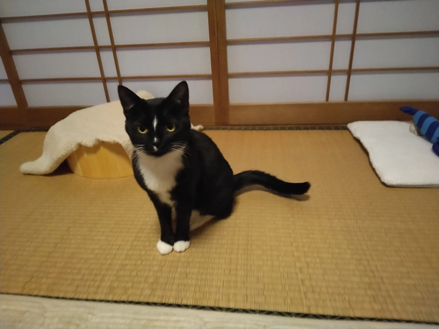 2/5はなちゃんの様子