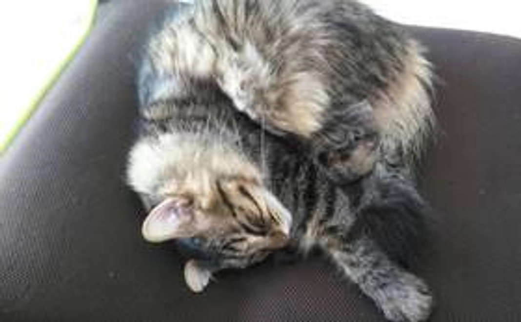 ☆心を込めたお礼メール☆