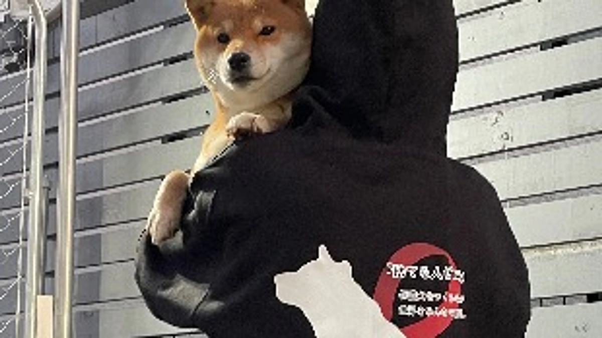 夜の運動🙇‍♂️