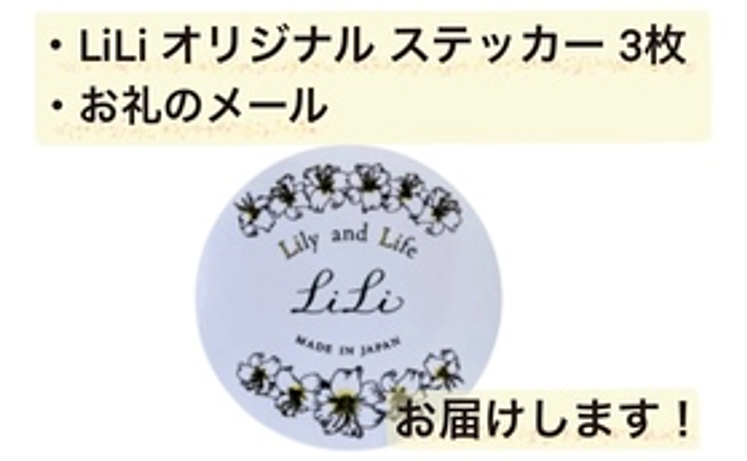 LiLi オリジナル スッテカー 3枚 コース