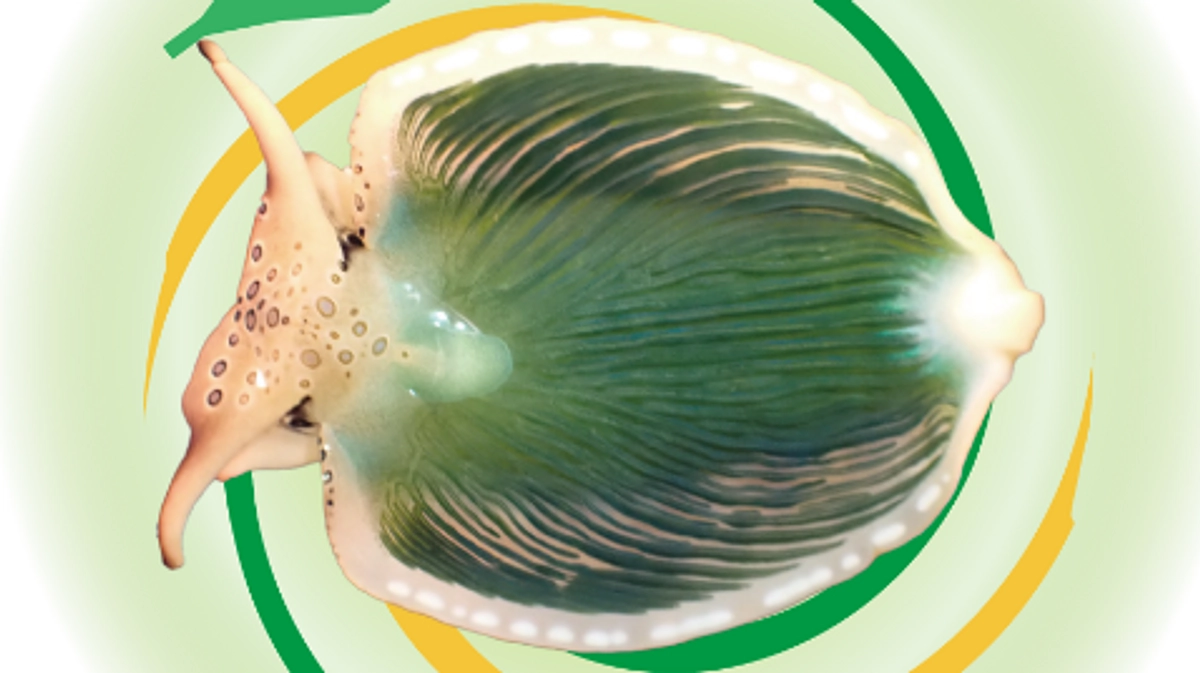 第二弾　Web番組配信します！