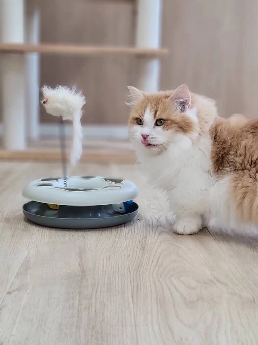 くすめっとご招待コースをご利用でない皆様へ