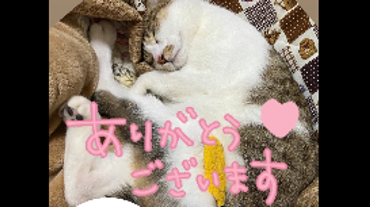 目標額達成のご報告と感謝の気持ち。