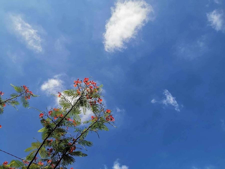 最終目標額550万円到達のお知らせとお礼