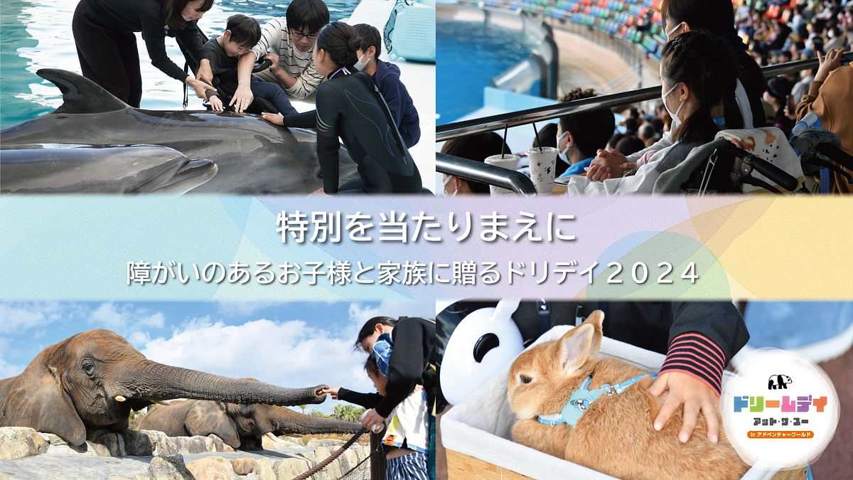 和歌山ドリデイ2024実行委員会より｜プロジェクト公開 応援よろしくお願いします！（10/31まで）