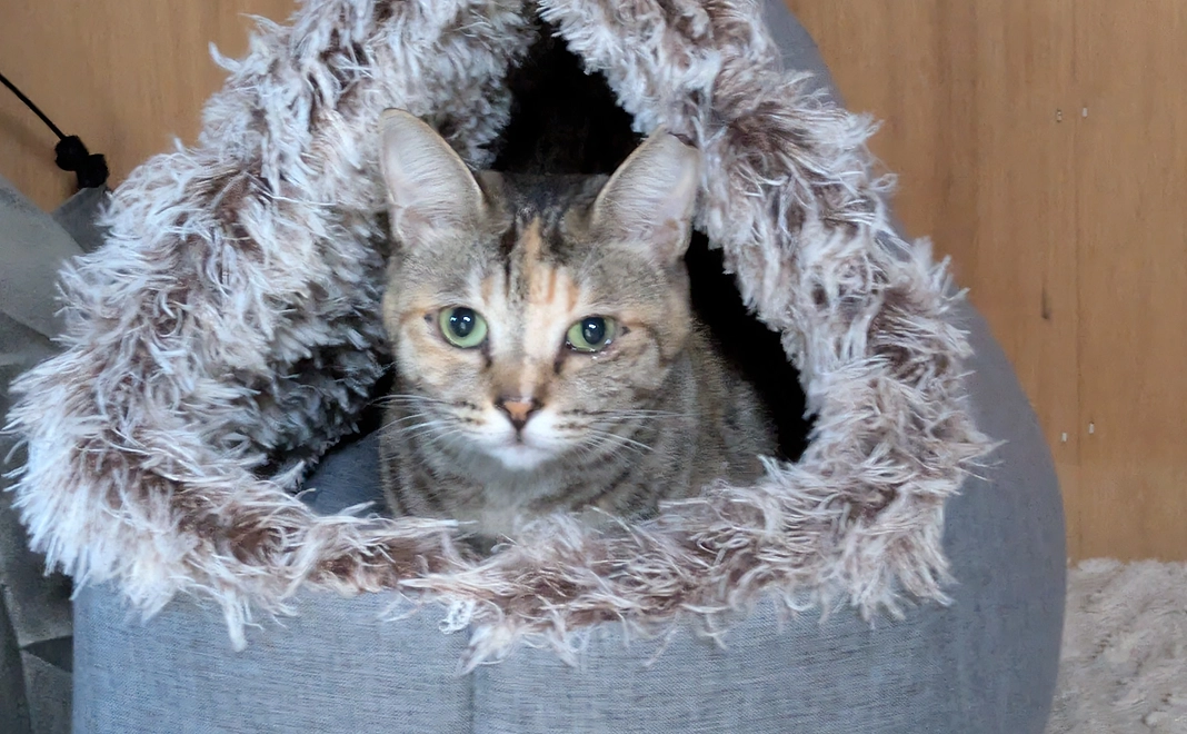 感謝のメール1000