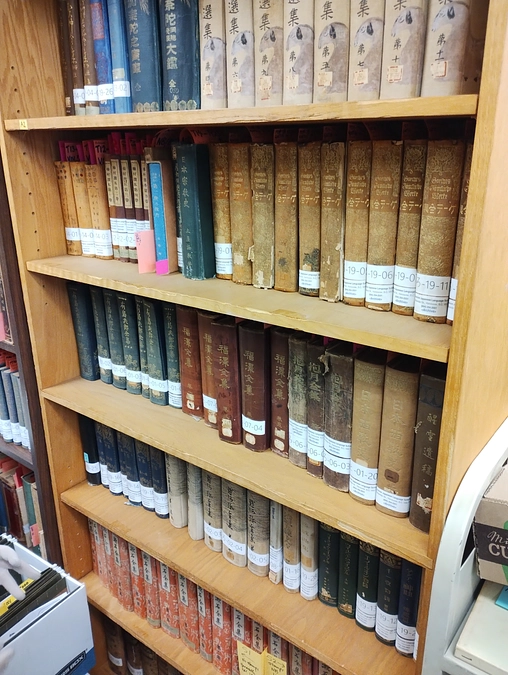 5日目の活動報告