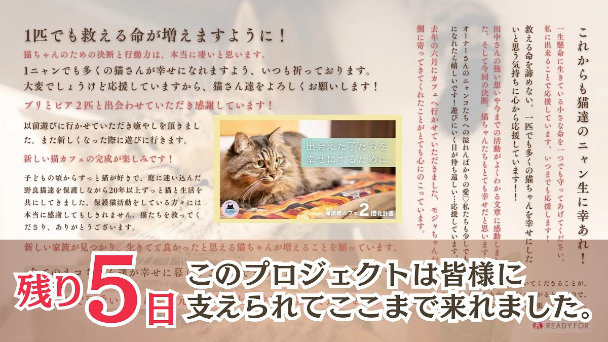 【350万円突破】たくさんの温かなメッセージに涙・皆様応援をして下さり本当にありがとうございます