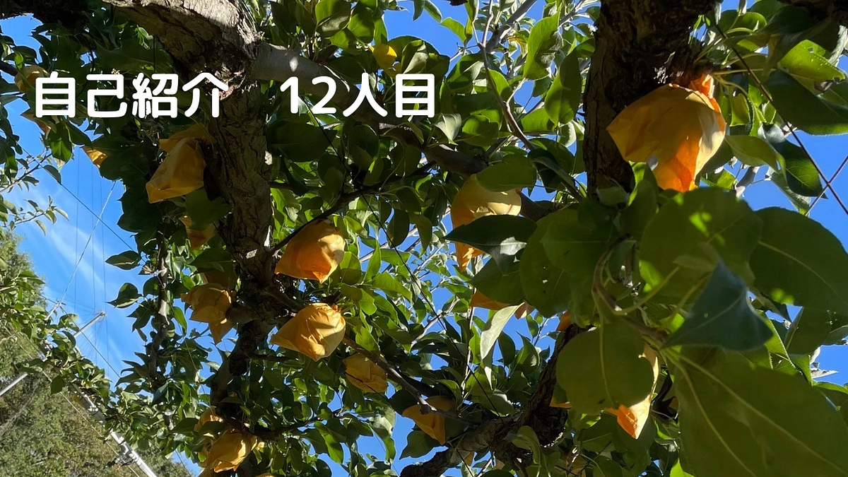 私たちについてもっと知ってほしい！自己紹介⑫