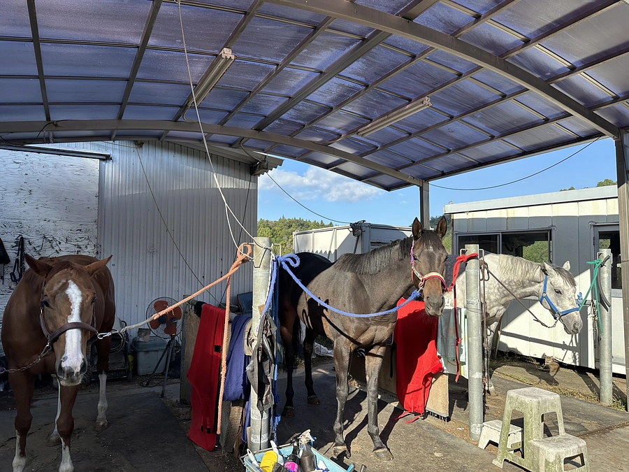 引退馬を迎え入れました！