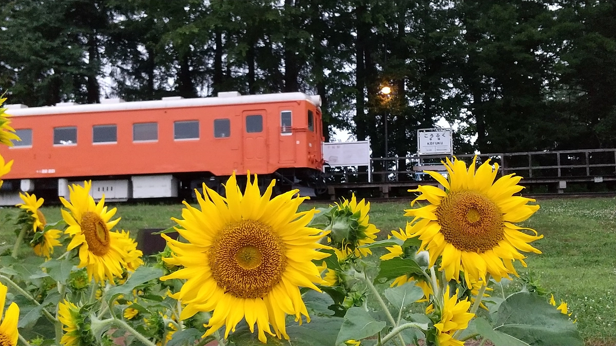 残り2日をきりました