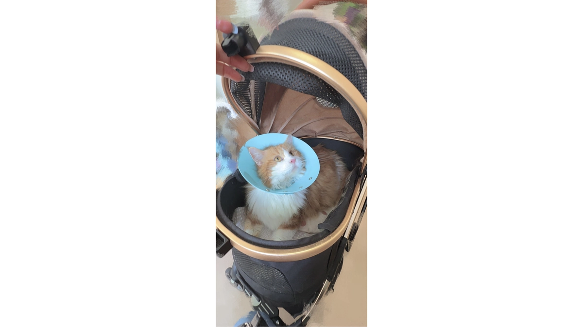 抗がん剤治療の明細について