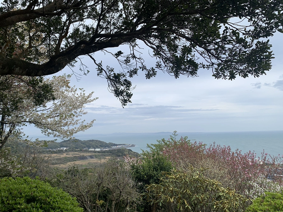 苦労の先にはちょっと良いこと