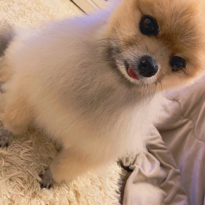 お礼メッセージ送りました。