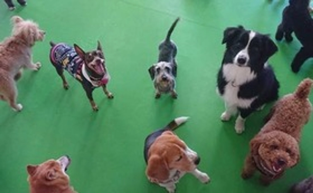 みんなの応援｜1万円