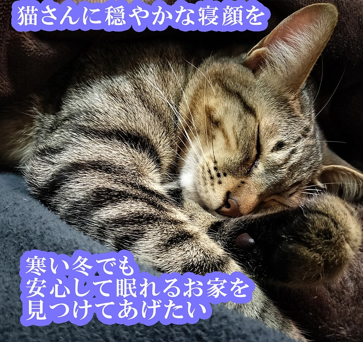 いよいよ残り2日となりました！感謝申し上げます！残り482,000円！ラストスパートです！！