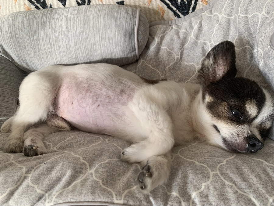 咳が落ち着いていました🍀